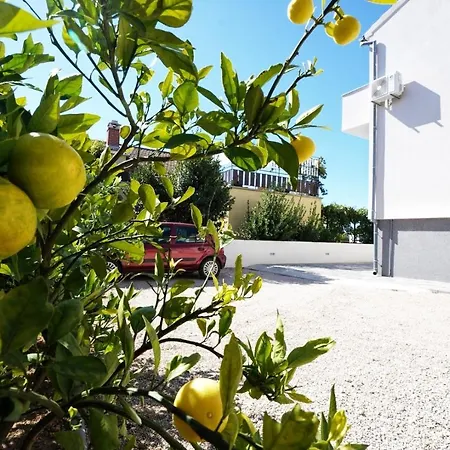 Apartment Lasan - 150 M From Sea *